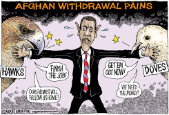 AFGHAN WITHDRAWAL PAINS by Wolverton