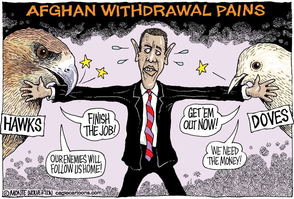  AFGHAN WITHDRAWAL PAINS by Wolverton