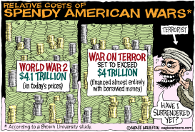 COST OF THE WAR ON TERROR by Wolverton