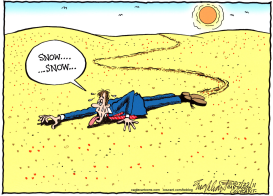 HEAT WAVE by Bob Englehart