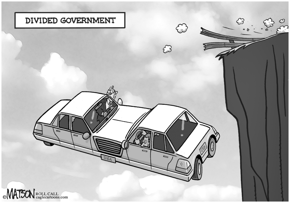  DIVIDED GOVERNMENT by RJ Matson