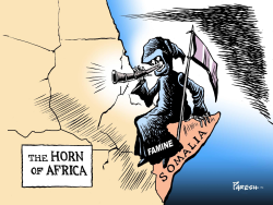 THE HORN OF AFRICA by Paresh Nath