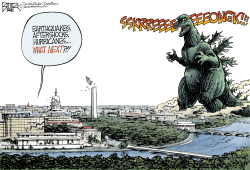 DC DISASTERS by Nate Beeler