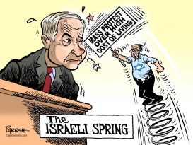 ISRAELI SPRING by Paresh Nath