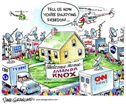 AMANDA KNOX FREEDOM by Dave Granlund