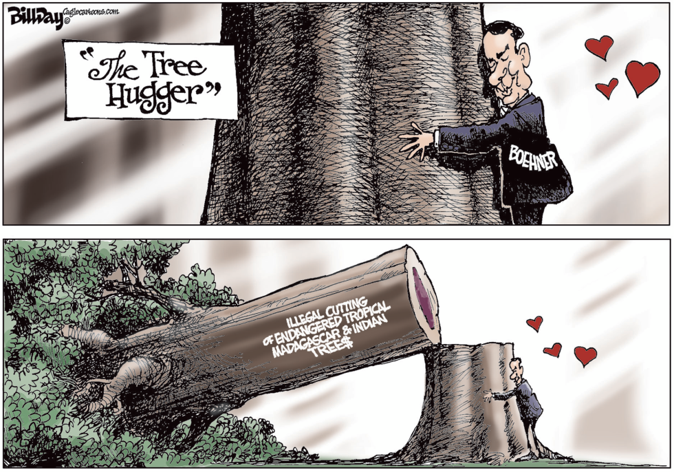  THE TREE HUGGER by Bill Day