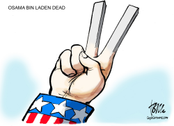 OSAMA BIN LADEN DEAD by Tom Janssen