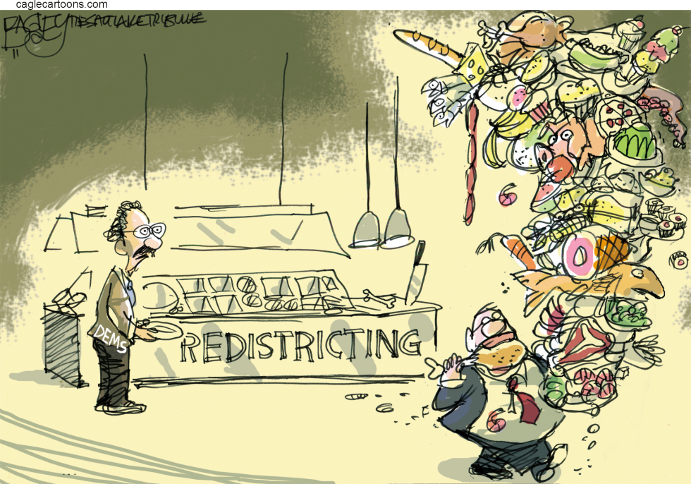  REDISTRICTING PIG OUT by Pat Bagley