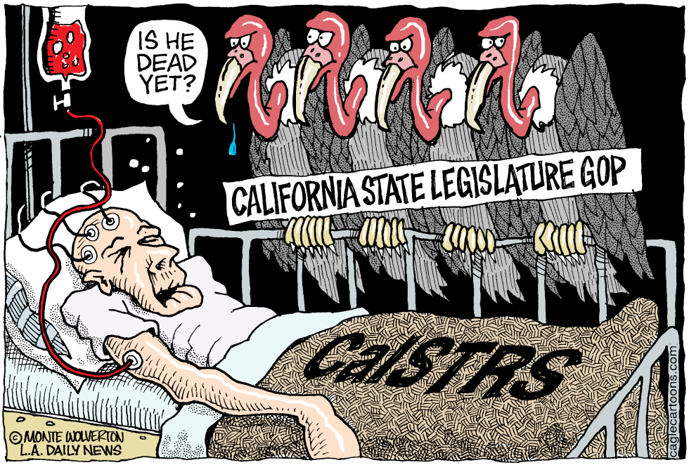  LOCAL-CA CALSTRS VULTURES by Wolverton