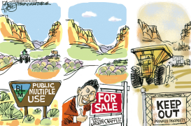 LOCAL BLM SALE by Pat Bagley