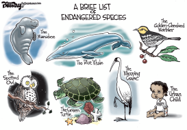 ENDANGERED by Bill Day